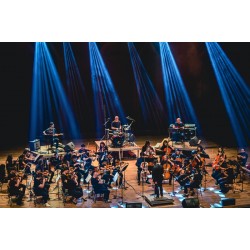 Orquestra Cordas do Iguaçu apresenta clássicos do rock no Guairão no dia 30 de abril